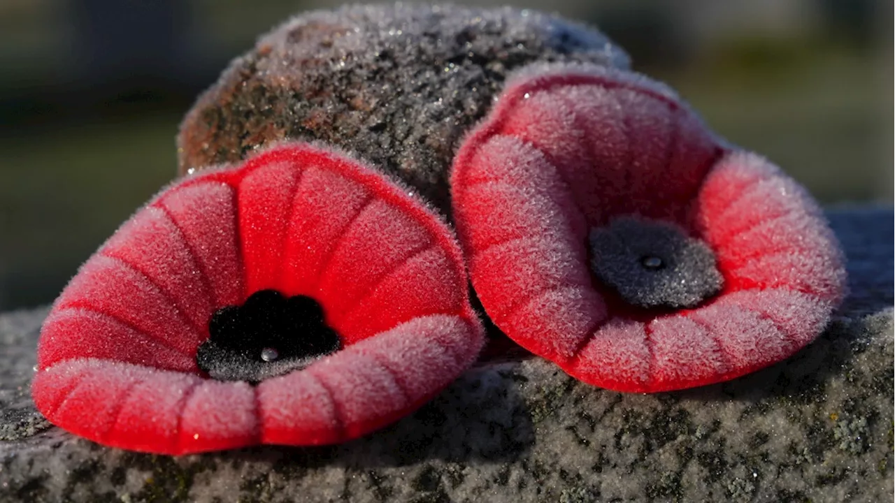 Remembrance Day poppies, accessories available for order this year