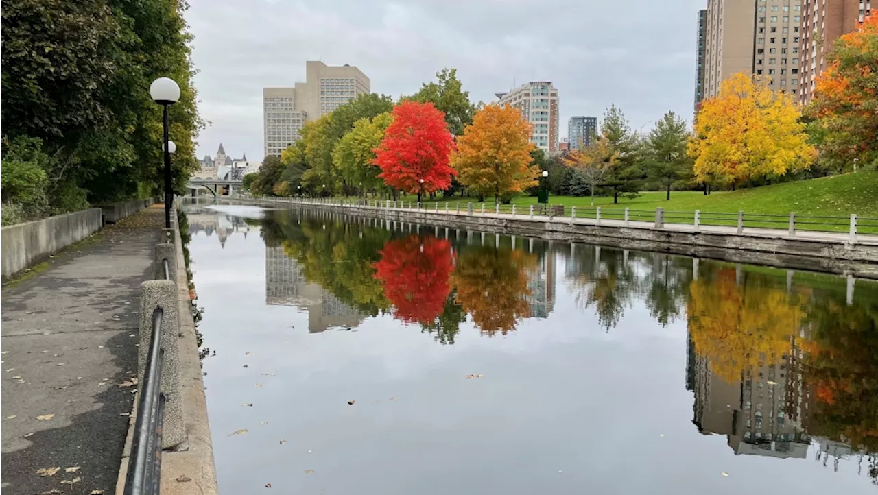 Temperatures to hit 20 C in Ottawa on Wednesday, cooler this week