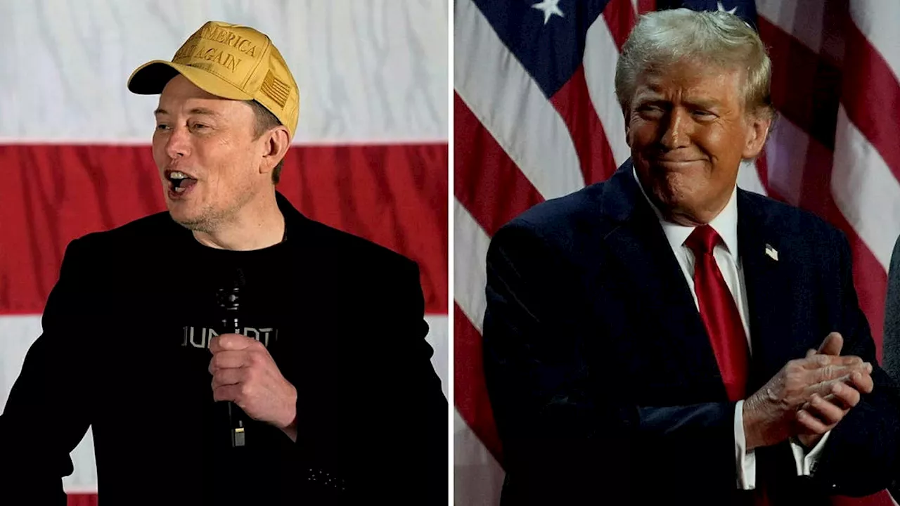 Donald Trumps hyllning till Elon Musk: ”Jag älskar dig”