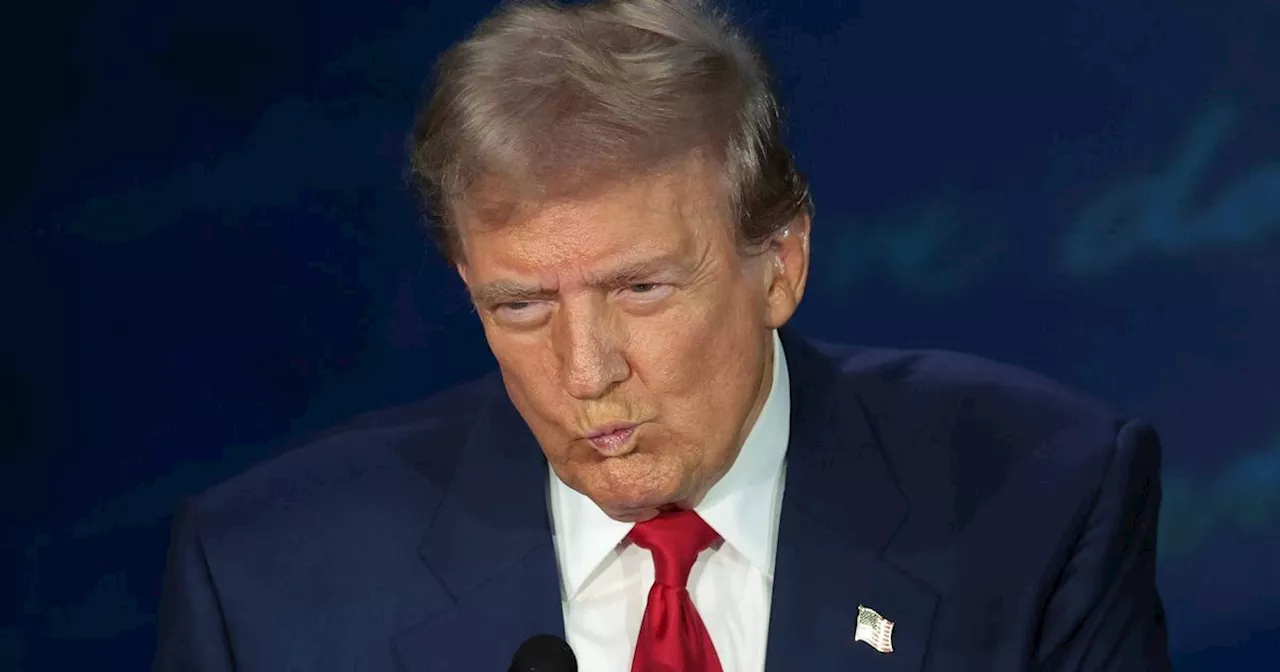 Five policies Donald Trump will implement after winning 2024 US election