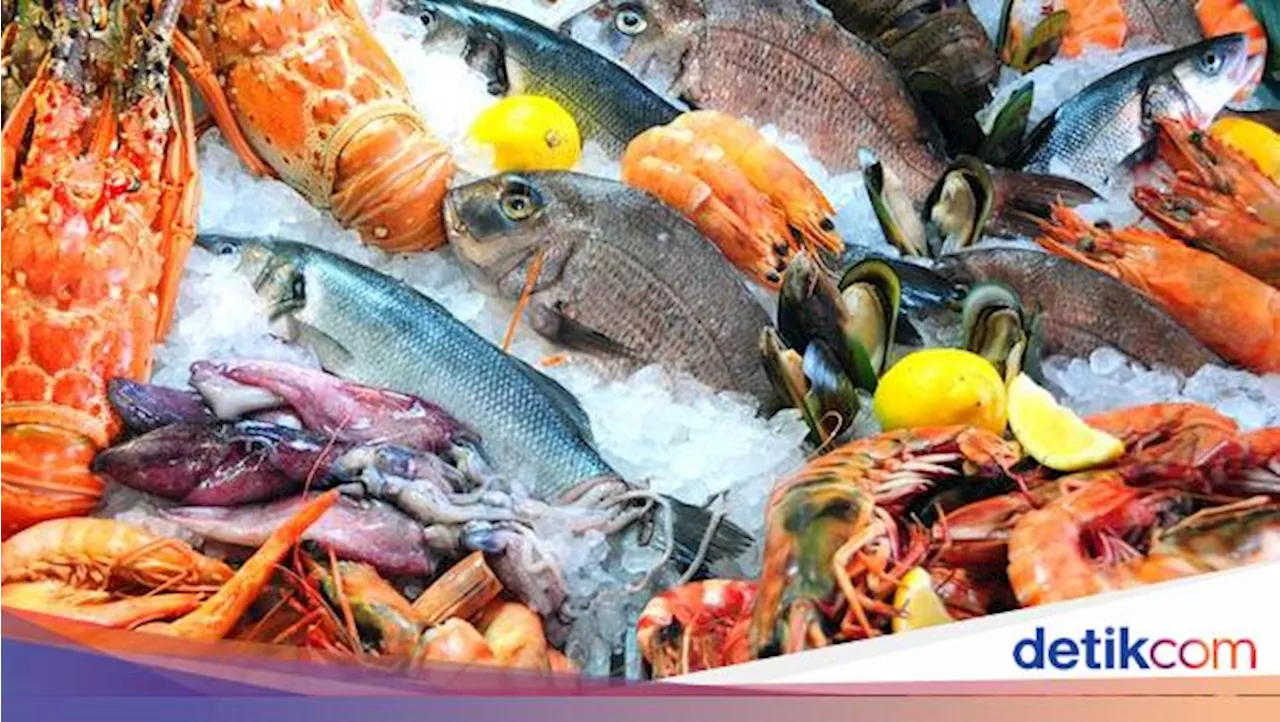 Ternyata Banyak Jenis Ikan dari Makanan Laut yang Terancam Punah, Kok Bisa Beredar?