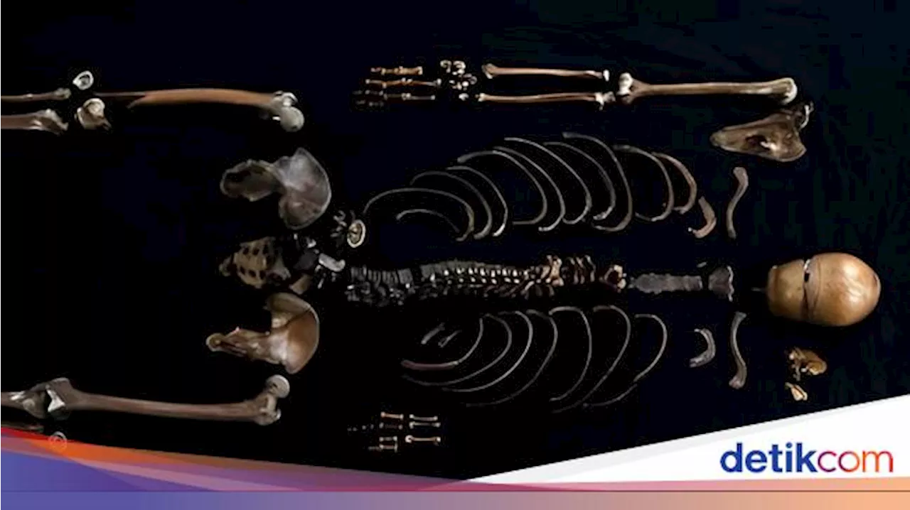 Tes DNA Ungkap Manusia Sumur Benar-benar Ada, Ini Kisahnya