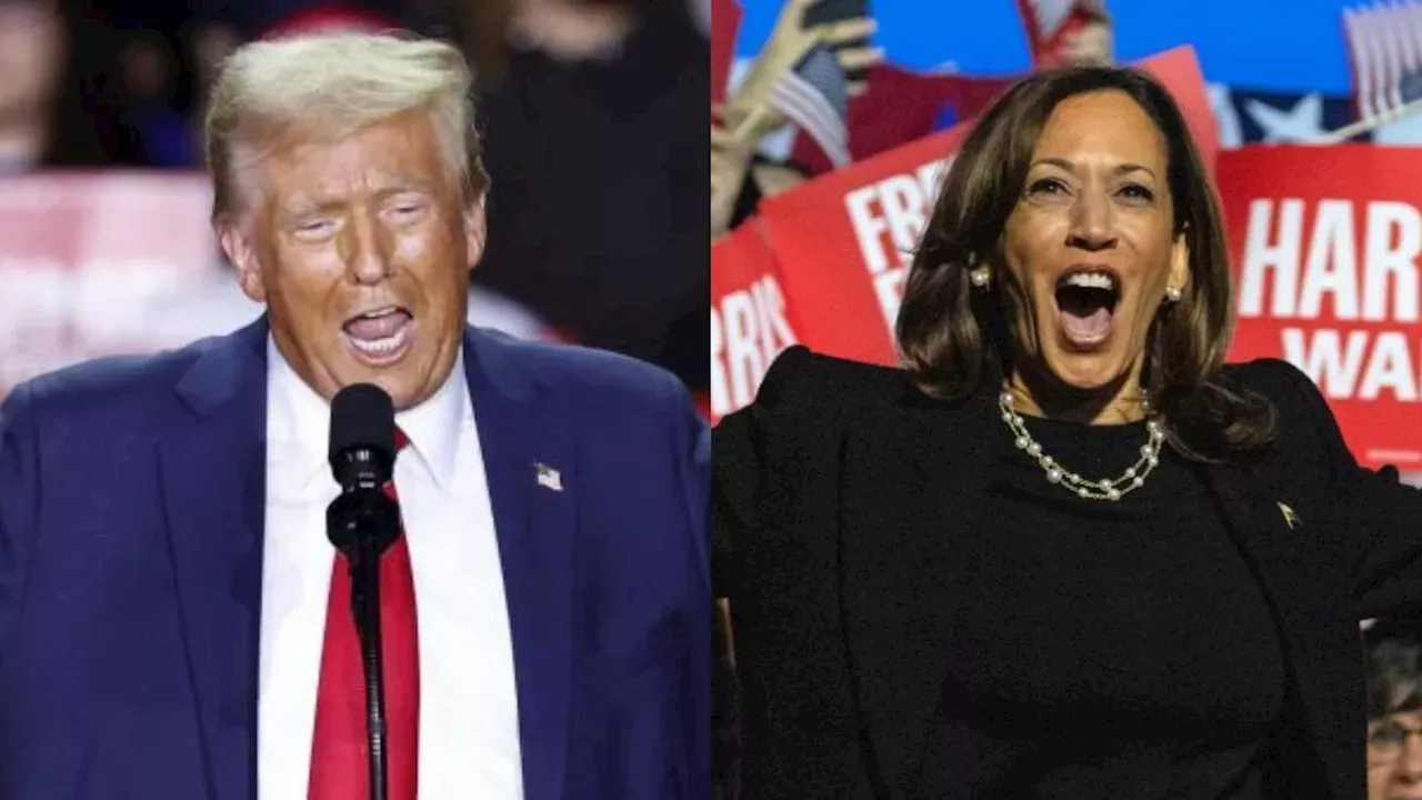 Donald Trump o Kamala Harris ¿Quién ganó las elecciones en cada estado