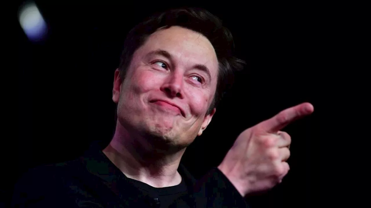 Elon Musk reveló qué hará en la política tras el triunfo de Trump