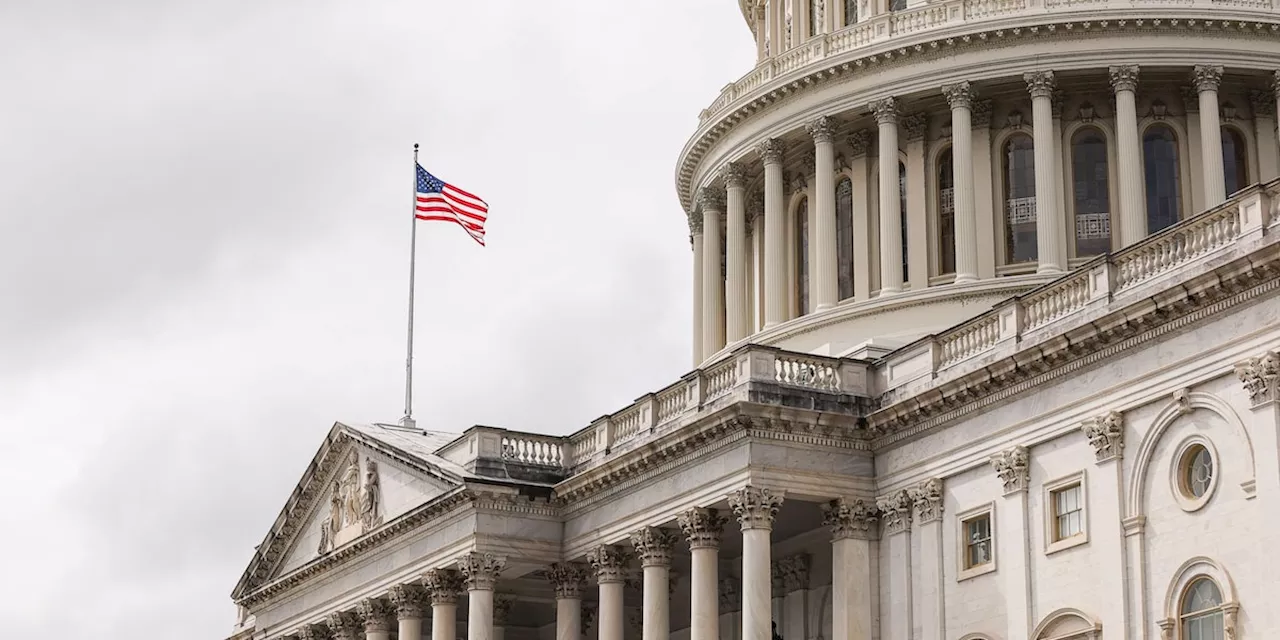 Mehrheit im Senat: „In neuer Trump-Regierung fehlen künftig die 'Erwachsenen'“