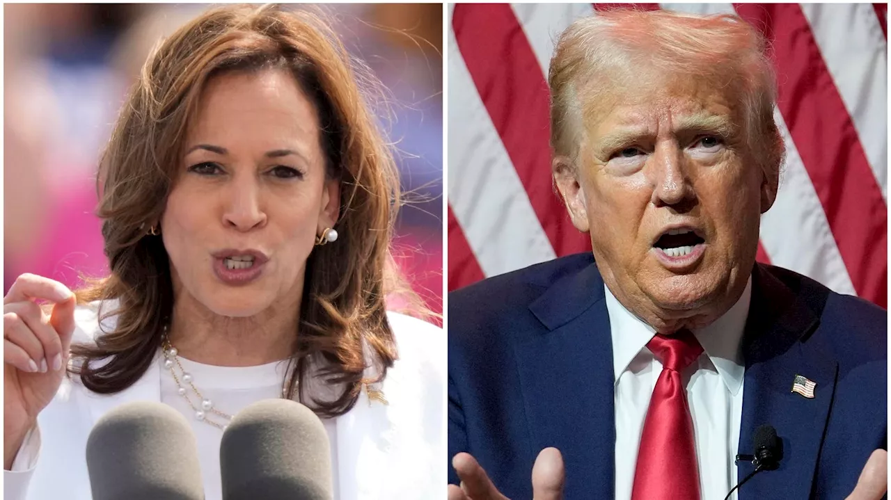 Election 2024: Harris And Biden Congratulate Trump, Discuss Peaceful Transfer Of Power