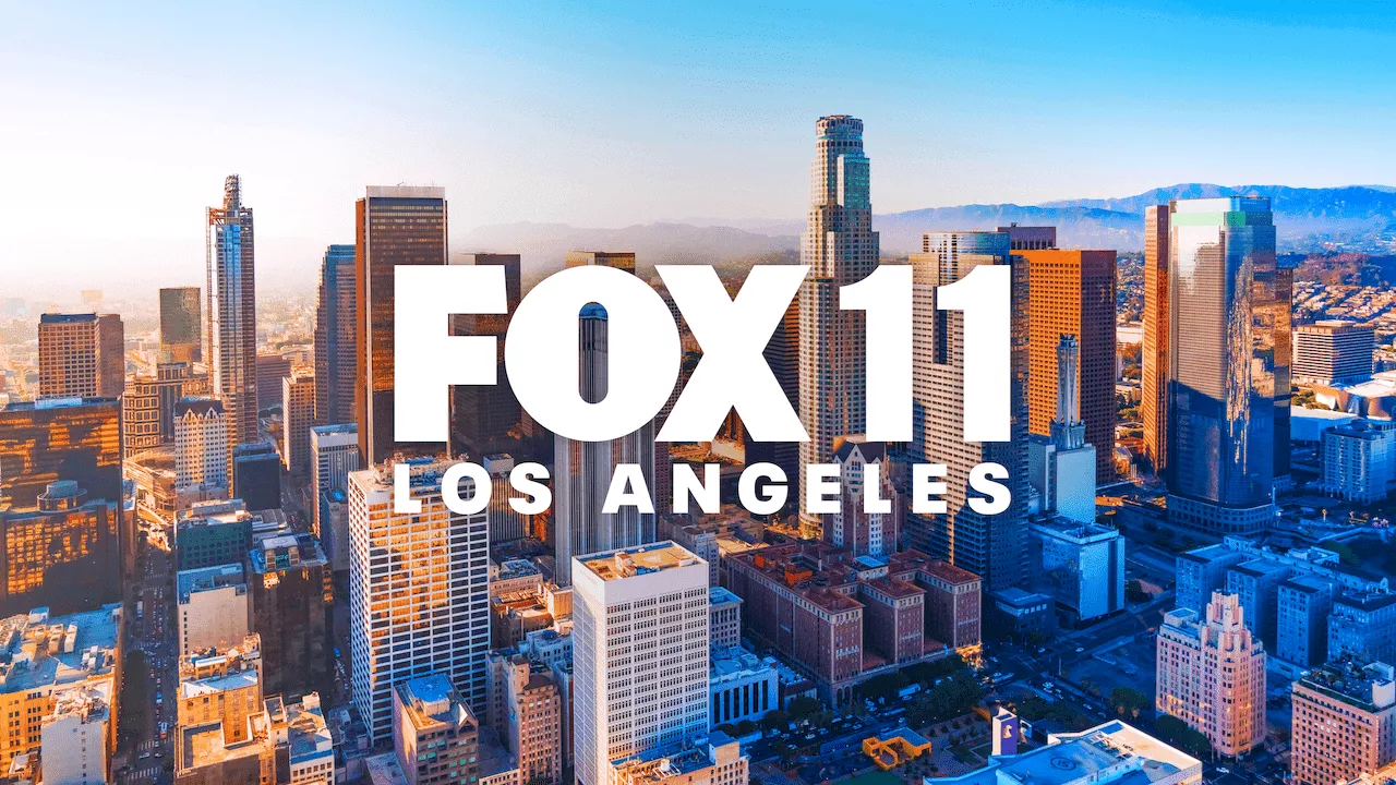 Los Angeles Wildcats | FOX 11 Los Angeles