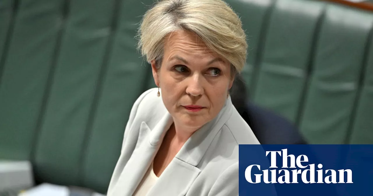 Tanya Plibersek was rebuked by NSW minister for decision to block $900m gold mine, documents reveal