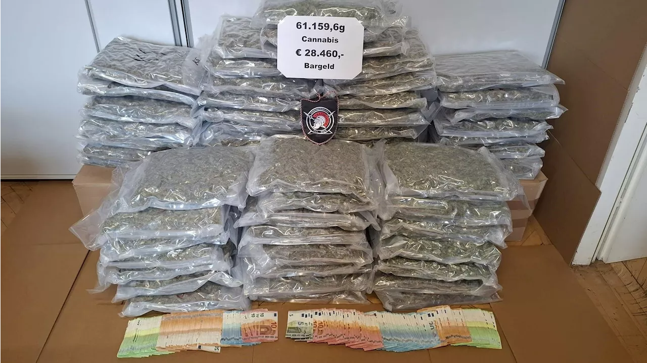 Unmengen an Drogen gesichert - Polizei findet in Dealer-Wohnung 61 Kilo Marihuana