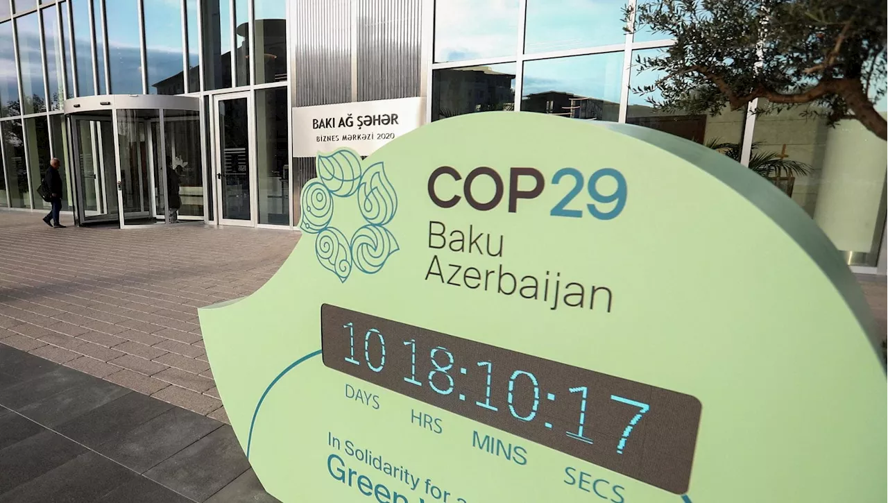 Cop29, tutto quel che c'è da sapere sulla finanza climatica al centro dei negoziati