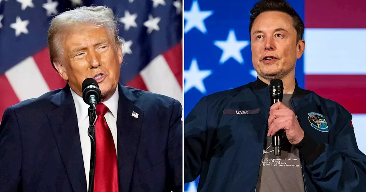 Inside Donald Trump's cosy bond with Elon Musk and huge White House promise