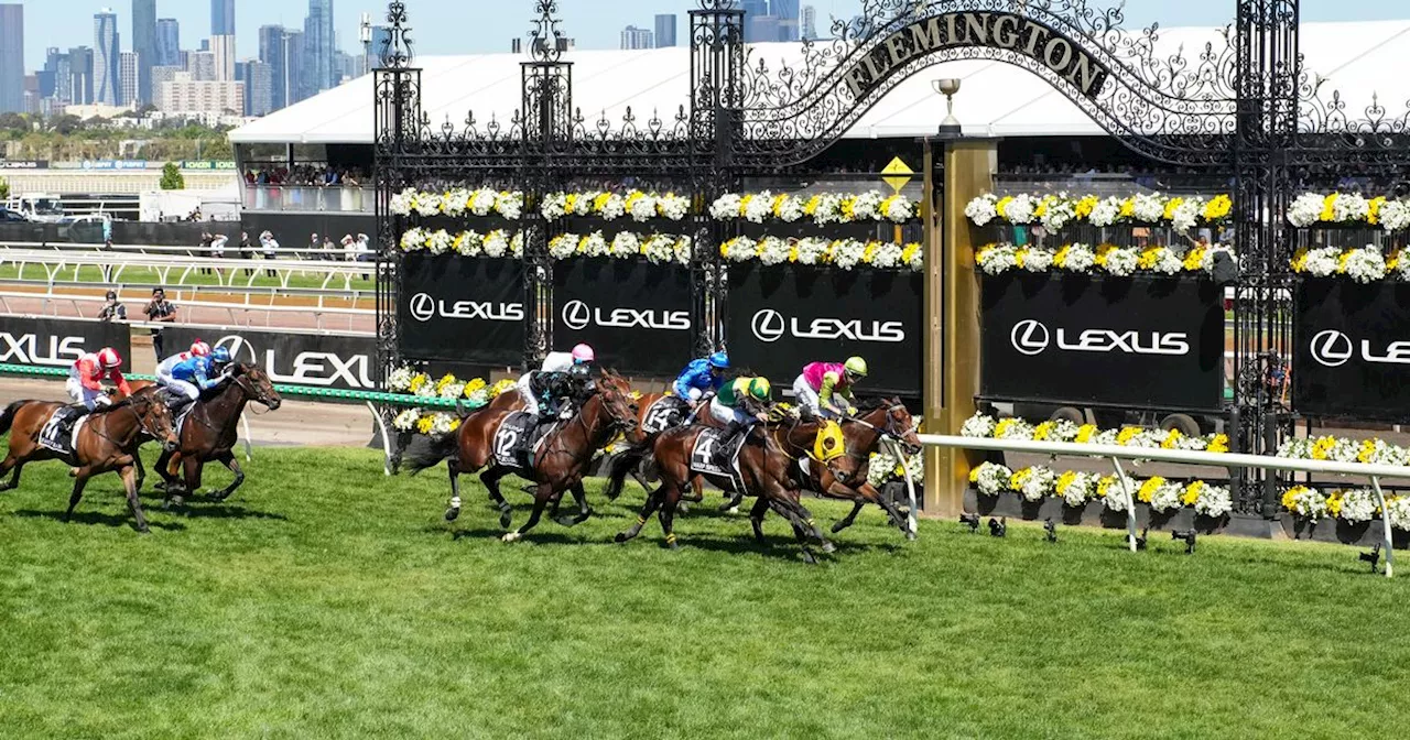 Irish jockey helps mother of two win €2million after Melbourne Cup success