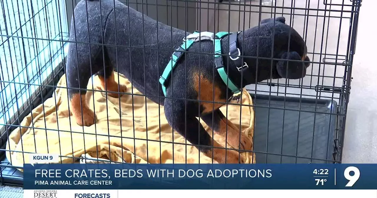 Get a free crate and bed when you adopt a large dog at PACC