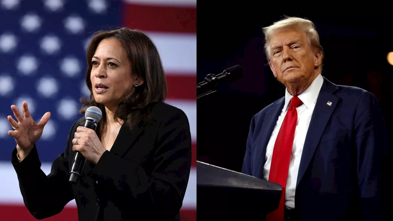 Live 2024 Election Results Map: Kamala Harris-Donald Trump Presidential Race