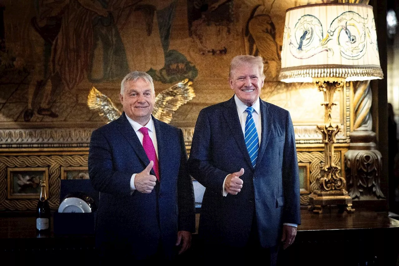 Conforté par le succès «éclatant» de Trump, Orban reçoit l'UE en Hongrie