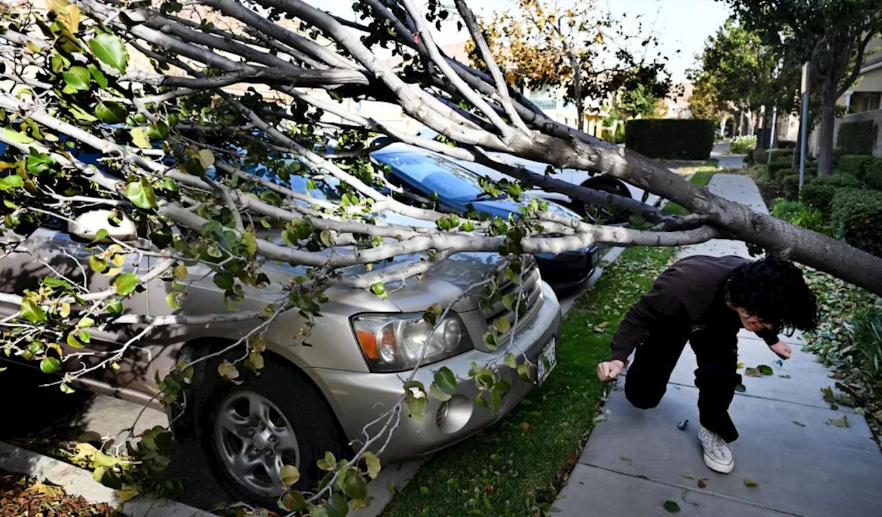 Dangerous Santa Ana winds batter Southern California, boosting fire danger