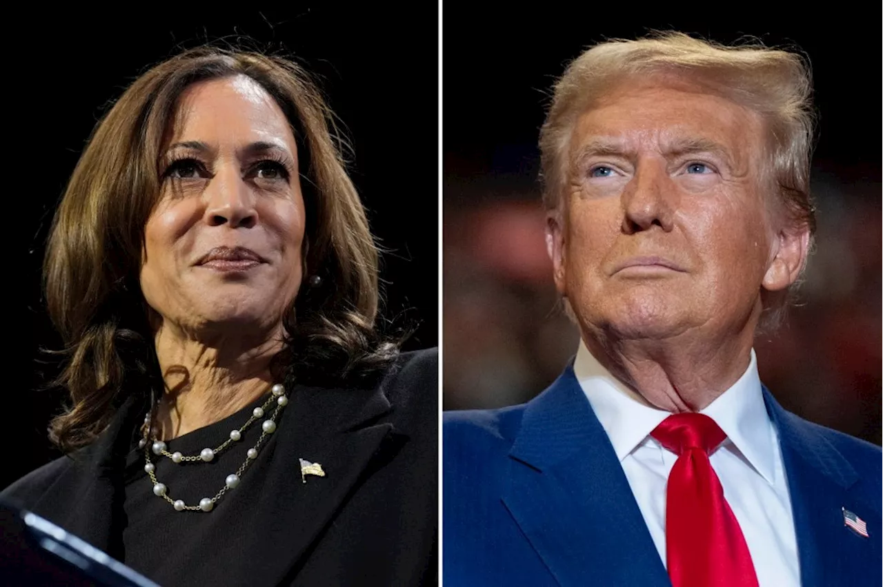 Trump and Harris rack up early wins as America awaits battleground results