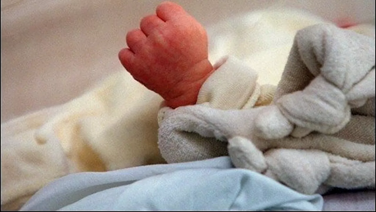 Un bébé mis au monde par les pompiers dans un village de montagne des Hautes-Pyrénées