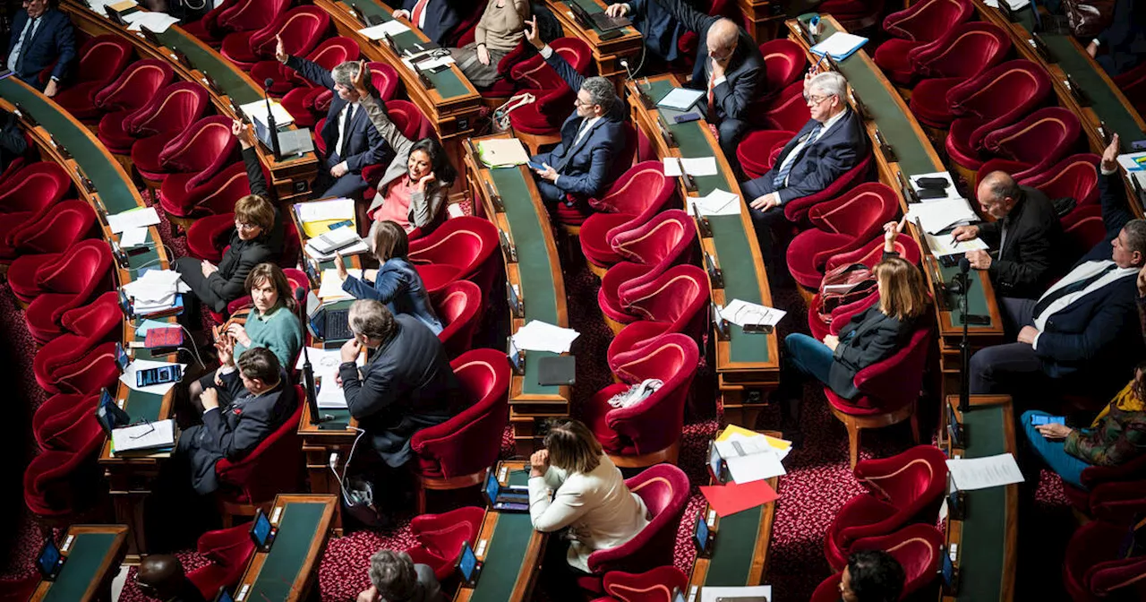 Budget : les députés macronistes draguent lourdement les sénateurs