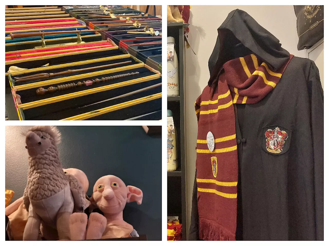 Metz : un magasin 100 % Harry Potter a ouvert tout près de la cathédrale