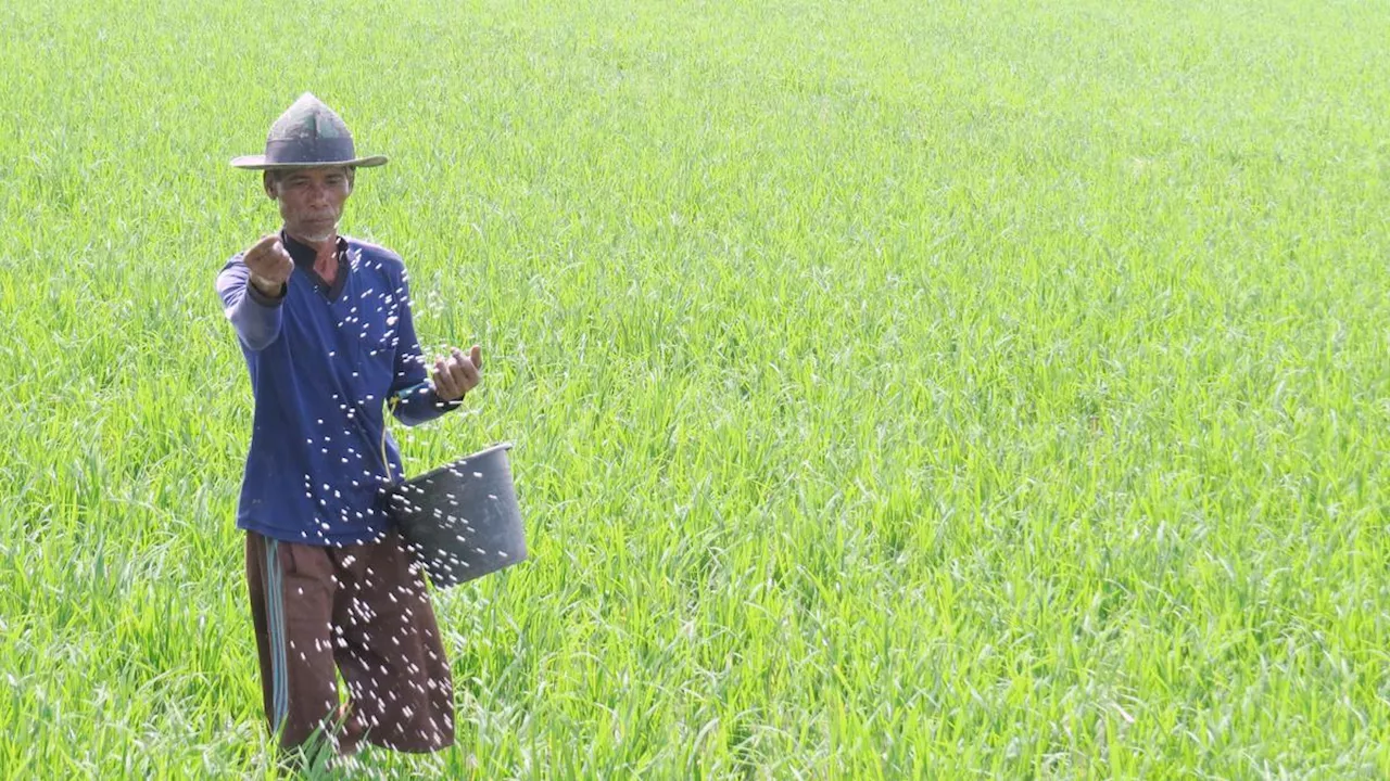 Utang UMKM hingga Petani Resmi Dihapus Pemerintah, 2 Menteri Prabowo Semringah