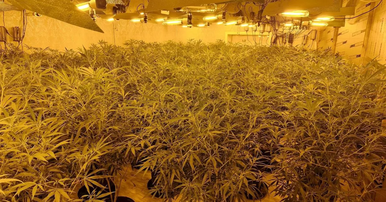 Cops in Lancashire uncover £2.3million cannabis farm at former bingo hall