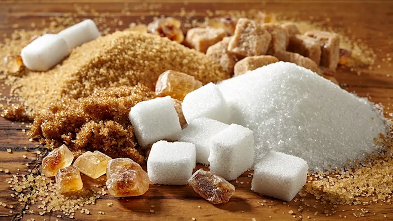 Early-Life Sugar Restriction Reduces T2D, Hypertension Risk