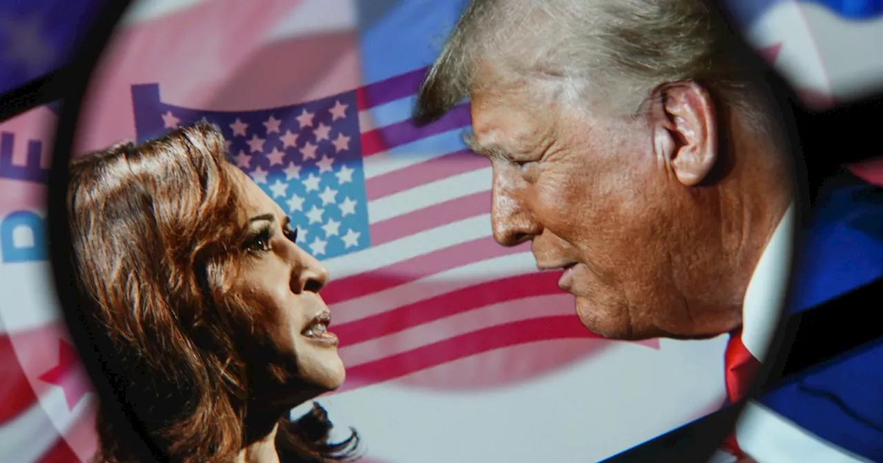 US election 2024: How many electoral college votes Trump and Harris have so far