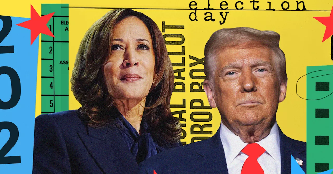 Election 2024 live updates: Latest Trump-Harris race news as poll results are counted