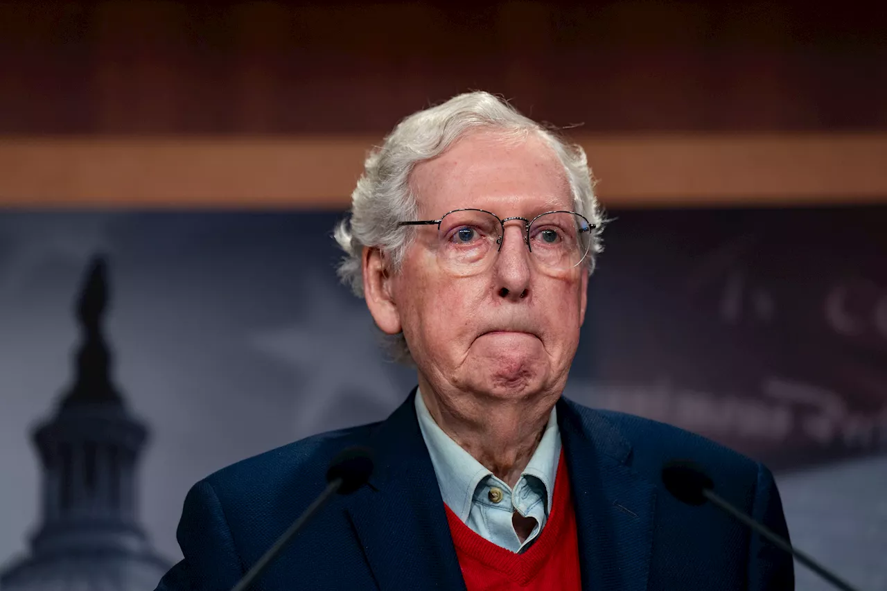 ‘Hell of a good day': Mitch McConnell reacts to 2024 election results