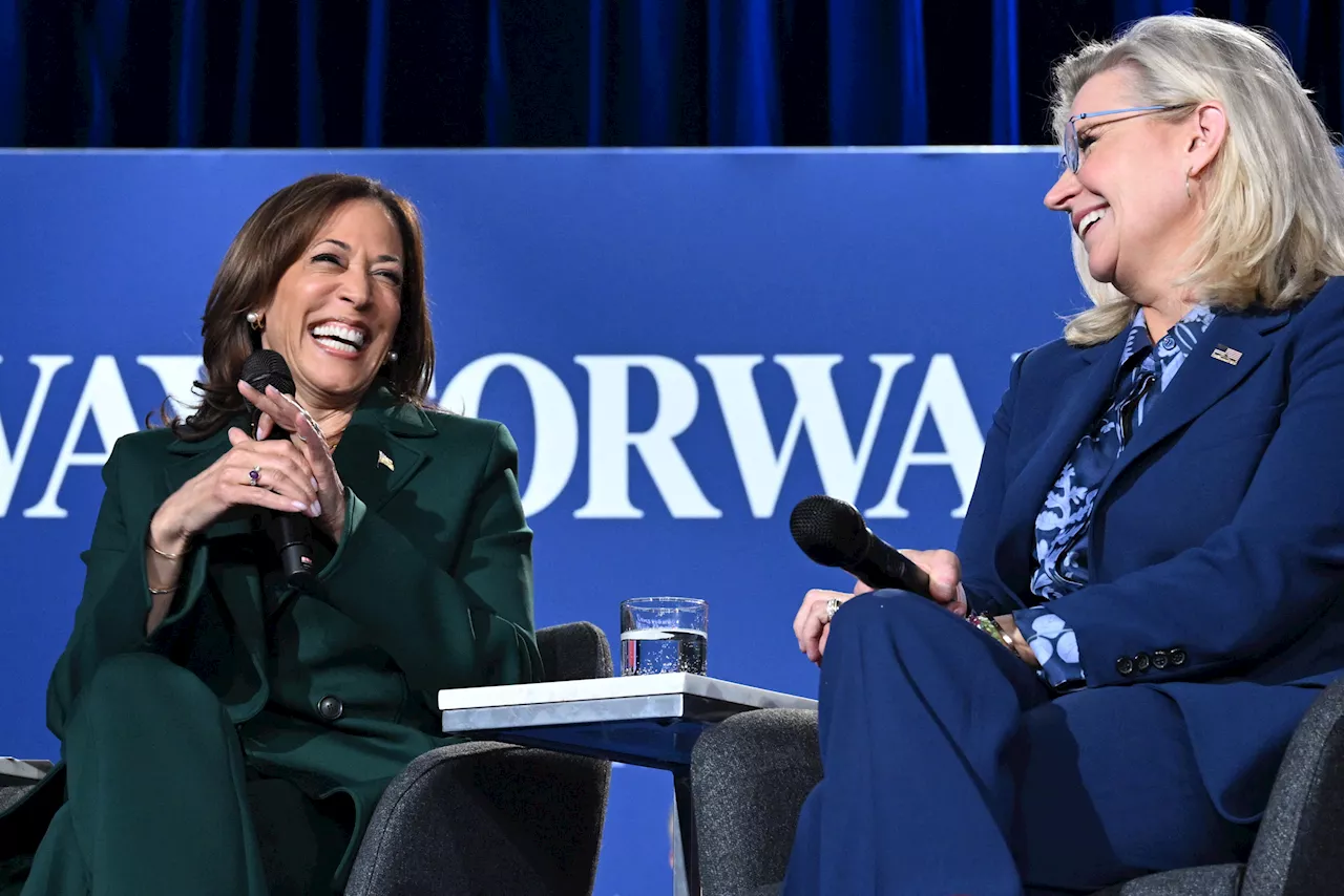 Muslim Americans Say Kamala Harris Embracing Liz Cheney Cost Her Election