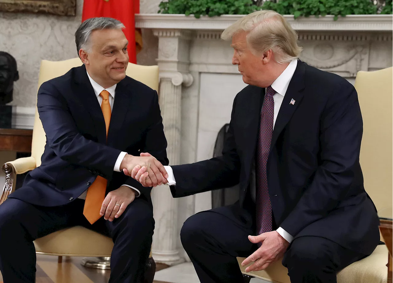 Putin Ally Orban Says He and Donald Trump Have 'Big Plans'