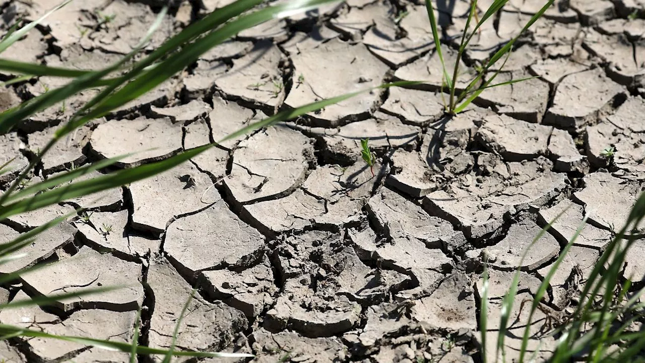 Mecklenburg-Vorpommern: Klimareport zeigt Folgen der Erderwärmung in MV