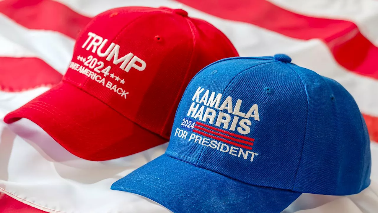 US-Wahl im Liveticker: +++ 06:03 Sender: Harris kann nach kurzem Zittern Virginia verteidigen +++ +++