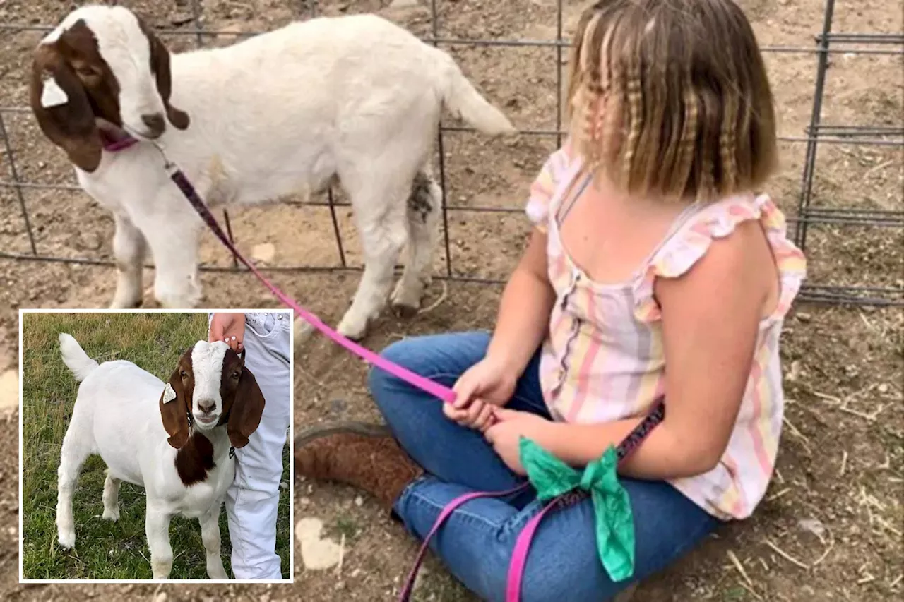 California girl, 11, wins $300K settlement from police who seized, slaughtered pet goat: 'Can never get him back'