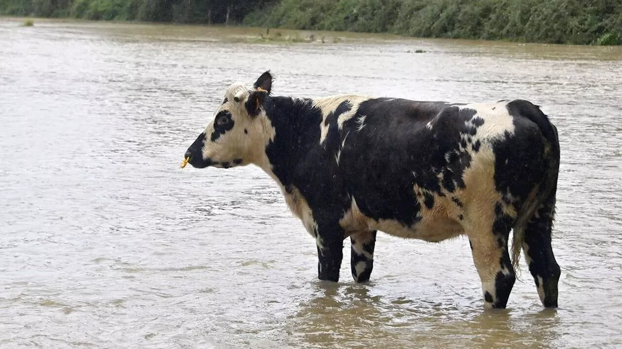 Inondations, coulées de boue : l’état de catastrophe naturelle reconnu pour 9 communes de Normandie