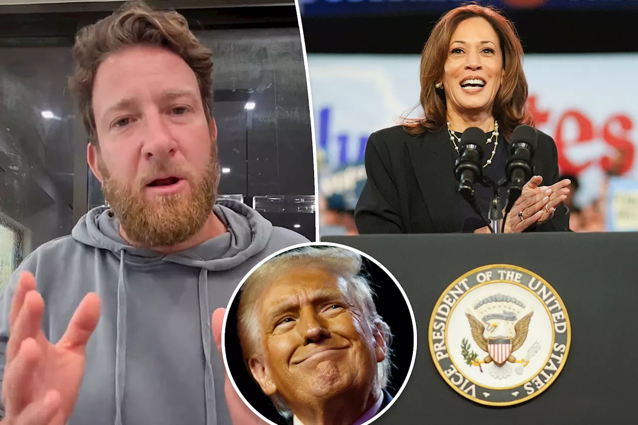 Dave Portnoy blames Kamala Harris loss on Dems' 'arrogance' and 'moral superiority': We had 'no choice' but to vote for Trump