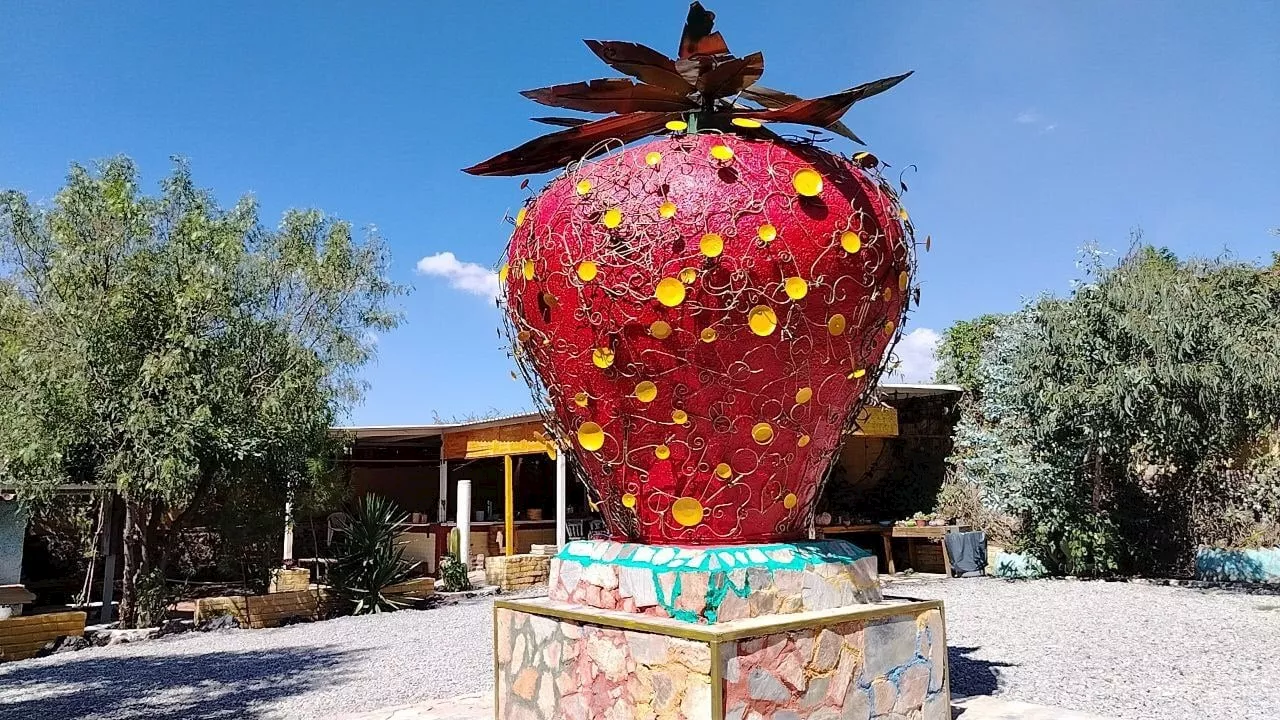 Irapuato honra su identidad con monumento ‘La Fresa de Oro’, ¿dónde puedes verla?