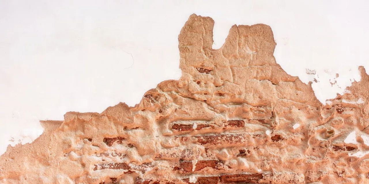 Archaeologists Were Floored by What They Found Behind These Desert Walls