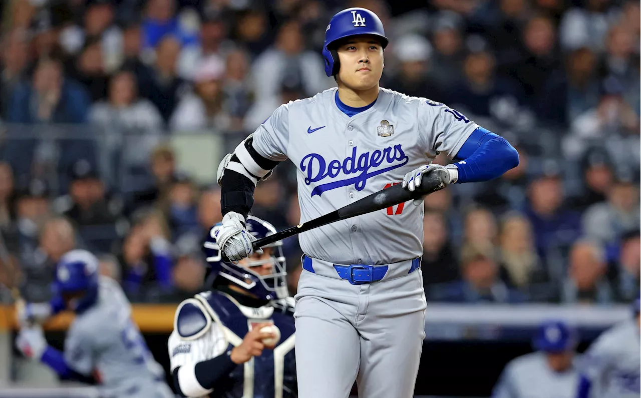Shohei Ohtani undergoes successful shoulder surgery, Dodgers say