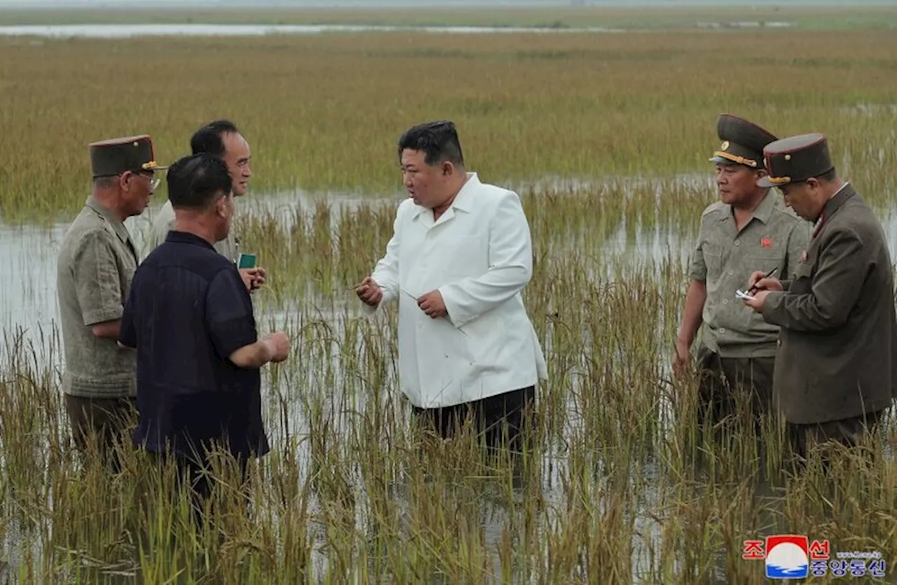 「お先真っ暗だ」食糧難が加速する北朝鮮の断末魔（2024年11月7日）｜BIGLOBEニュース