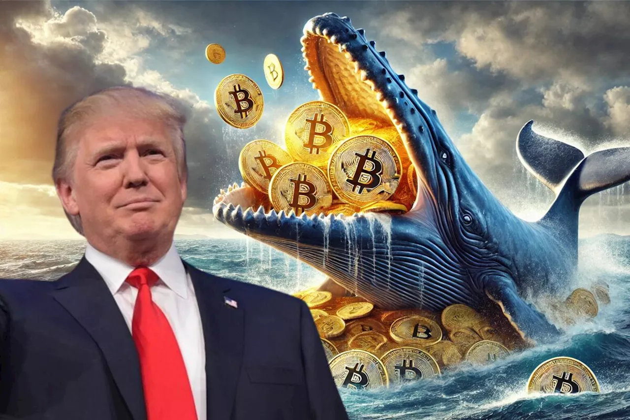 เจ้ามือแห่ช้อน Bitcoin เพิ่มกว่า 4,500 ล้านบาท! ตอบรับกระแสชัยชนะของ Donald Trump