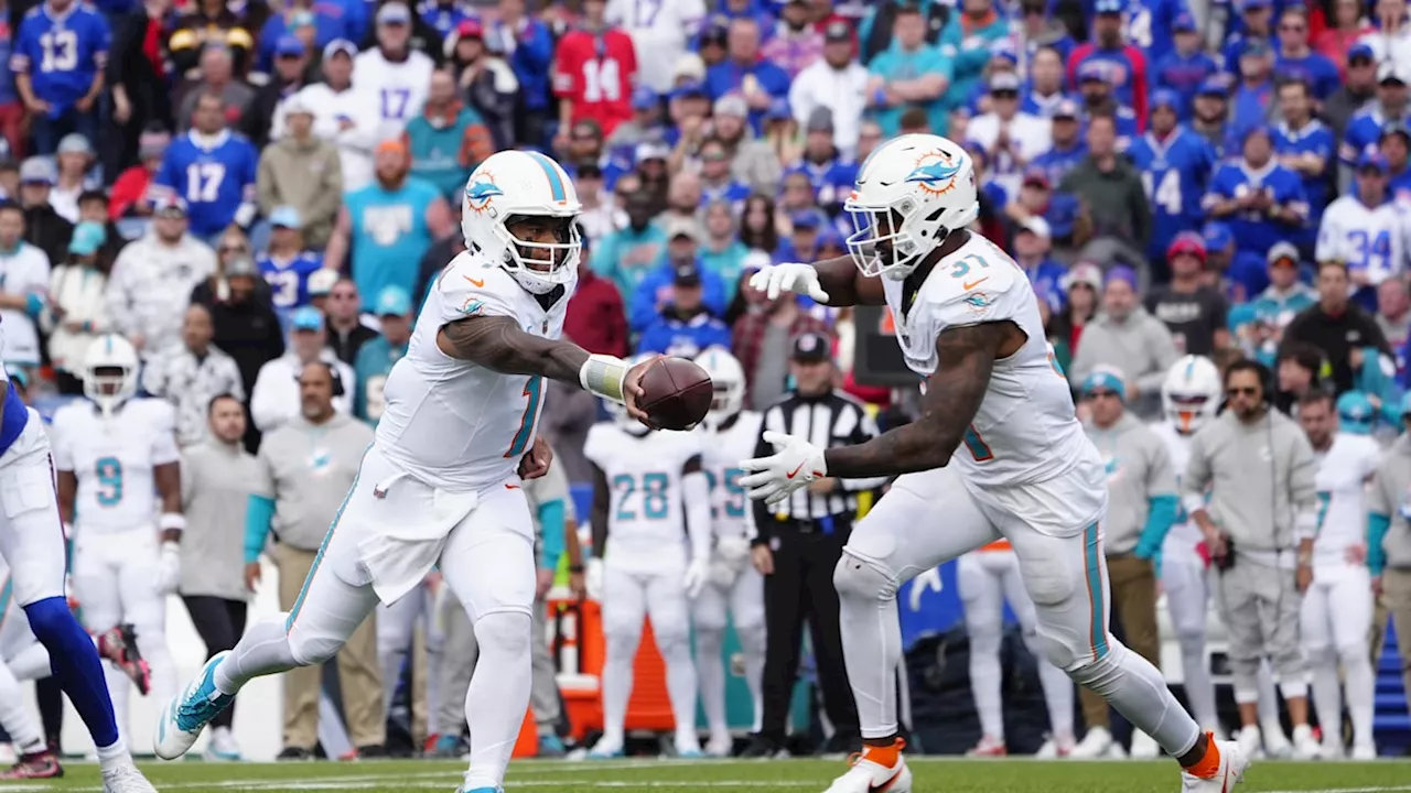 Miami Dolphins Have at Least One NFL Network Playoff Believer