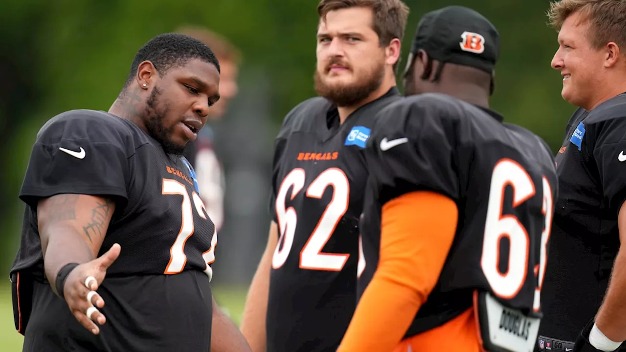 Pittsburgh Steelers Sign Former Cincinnati Bengals Defensive Tackle Domenique Davis