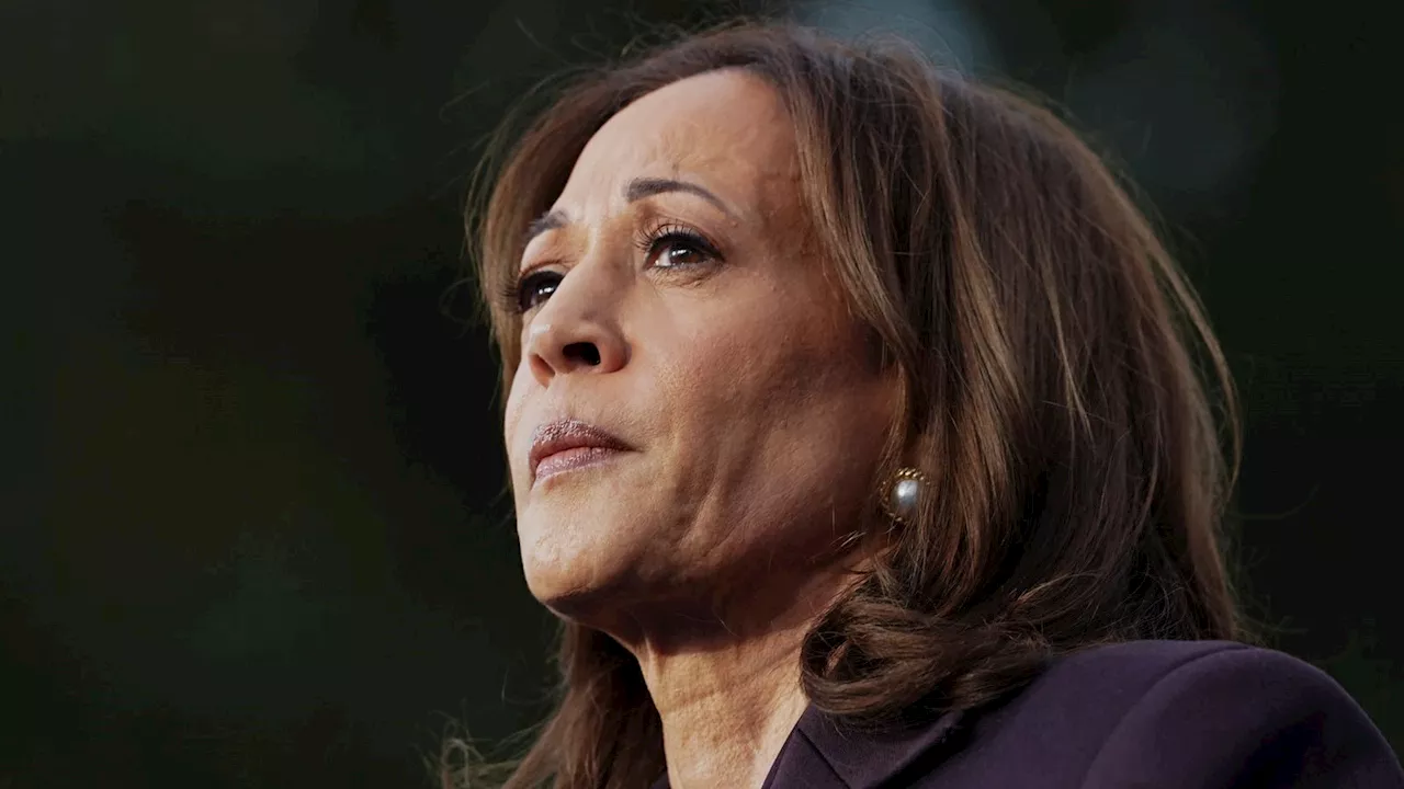 US election latest: 'When we lose an election we accept result' - defeated Kamala Harris to engage in 'peaceful transfer of power'