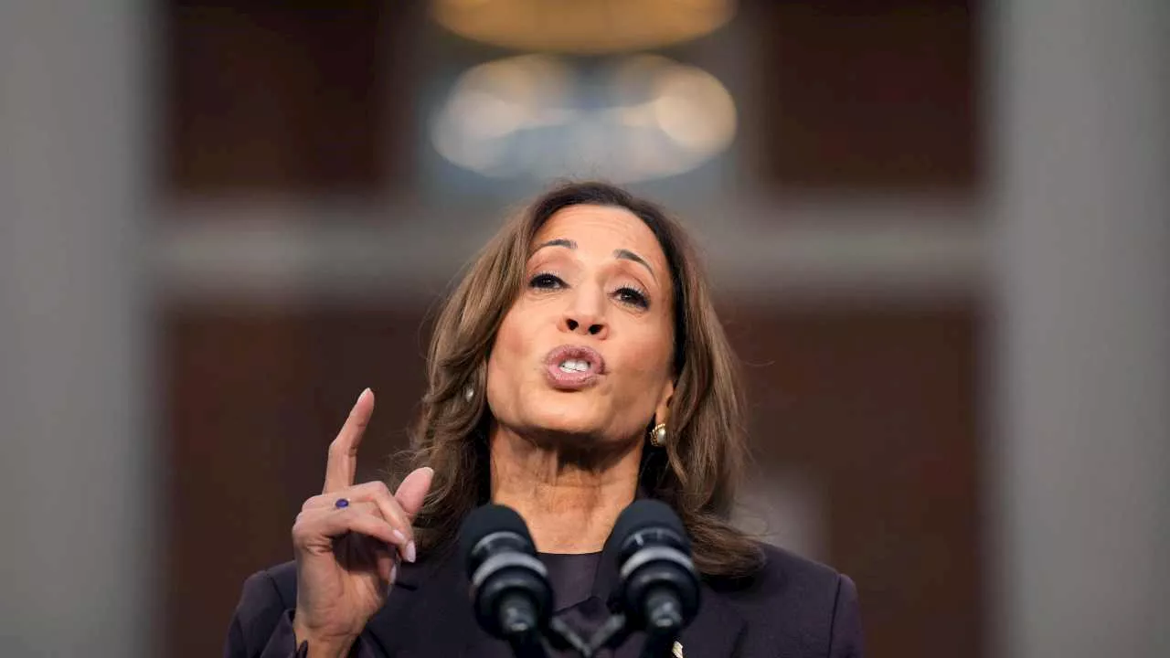 Harris election loss caused by ‘s*** candidate’, ‘arrogant’ staff: Dem sources