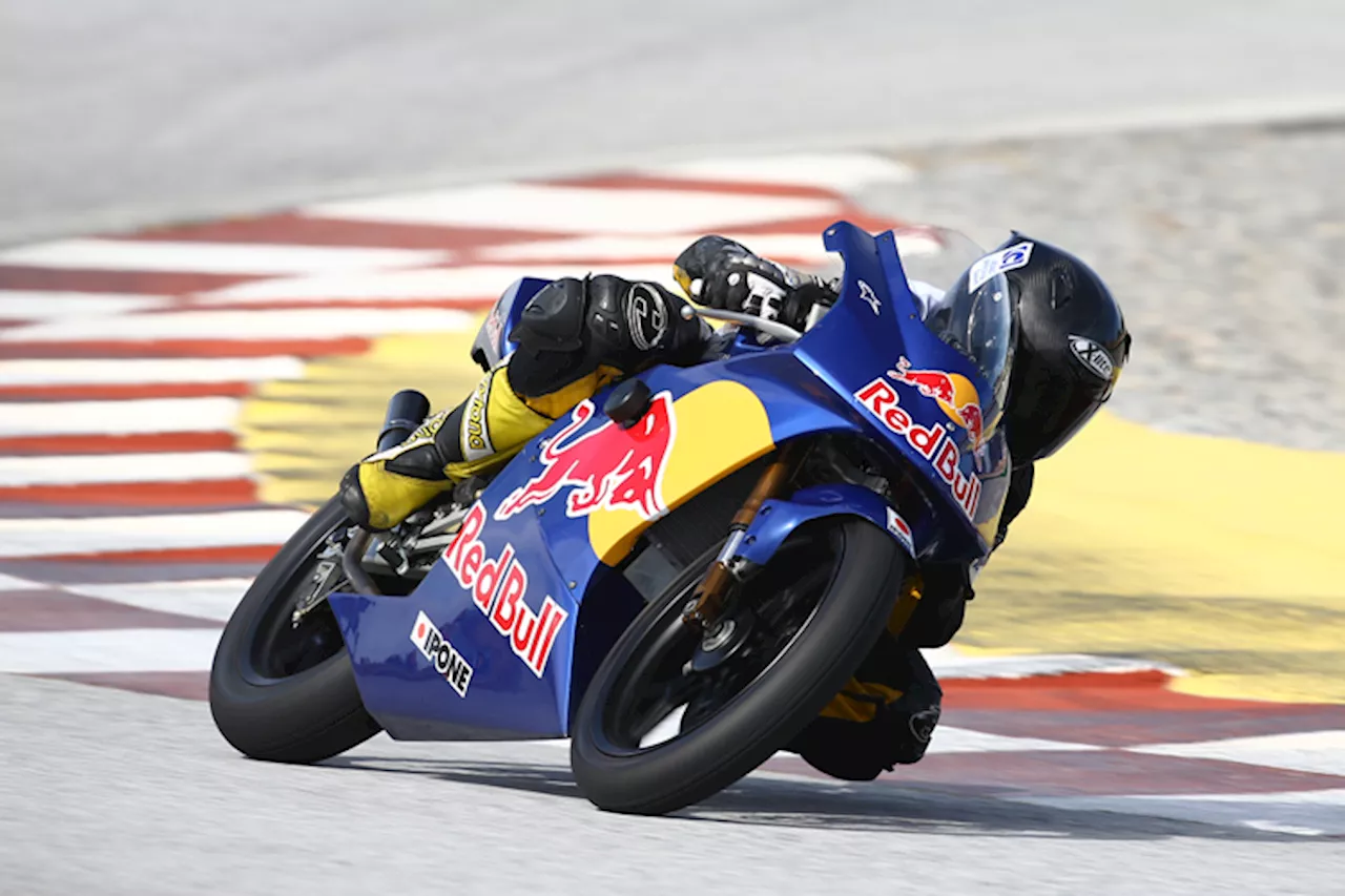 Meggle und Orgis beim Red Bull Rookies Cup 2016 dabei