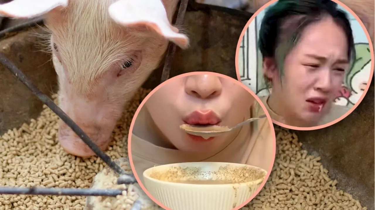 China influencer adopts pig feed diet costing 40 US cents to save money, raising health concerns