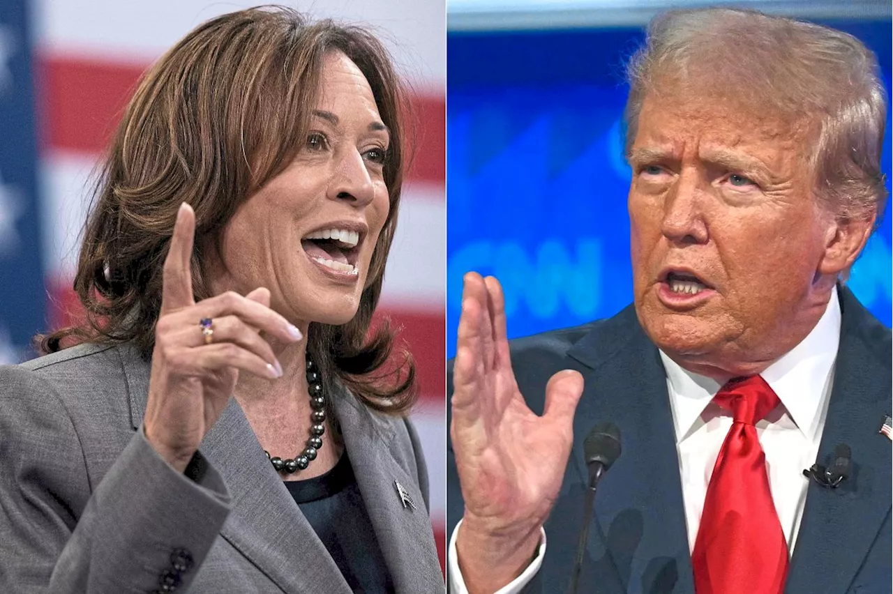 Trump claims victory over Kamala in US presidential election