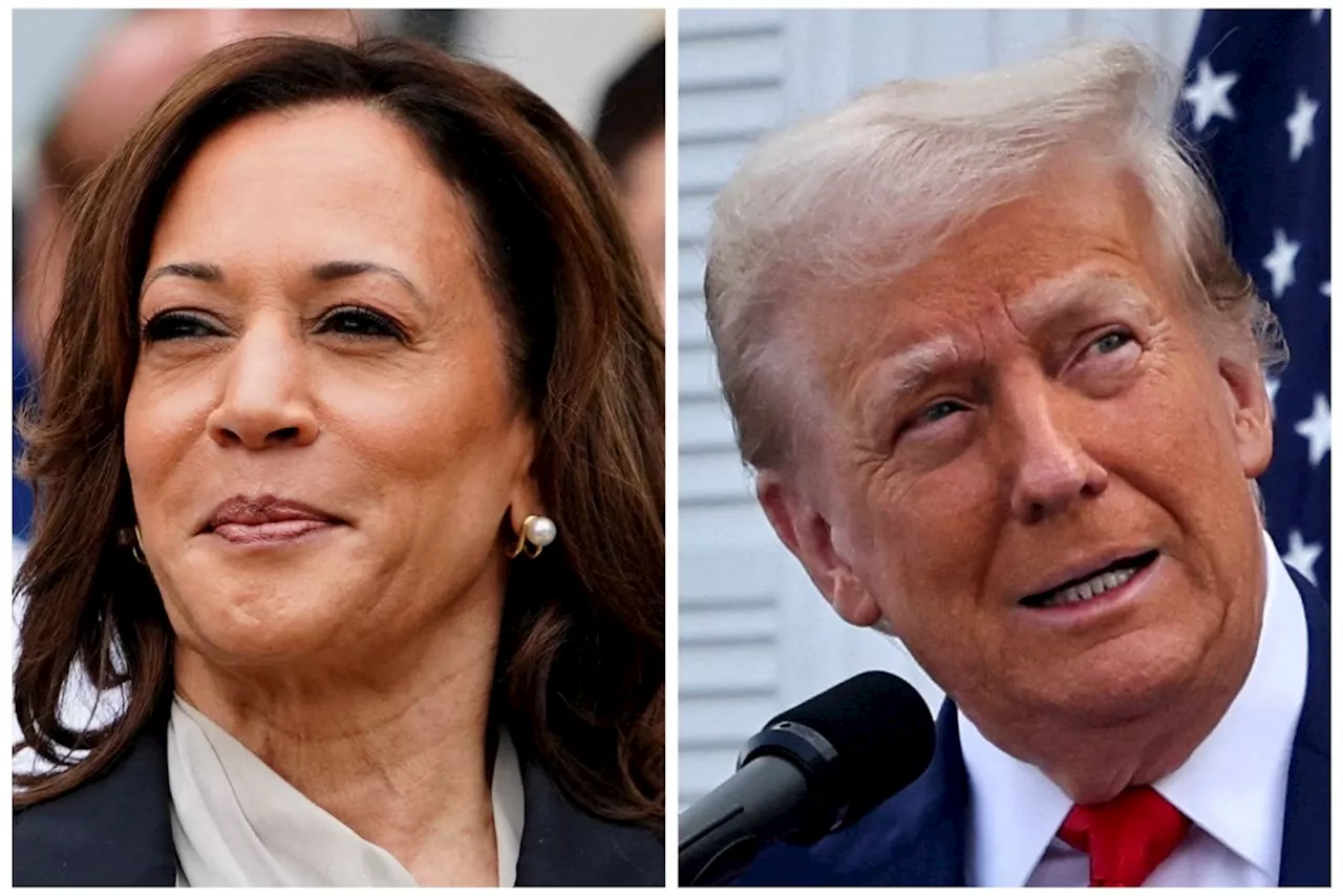 US polls: Trump and Harris secure early victories amid tense race